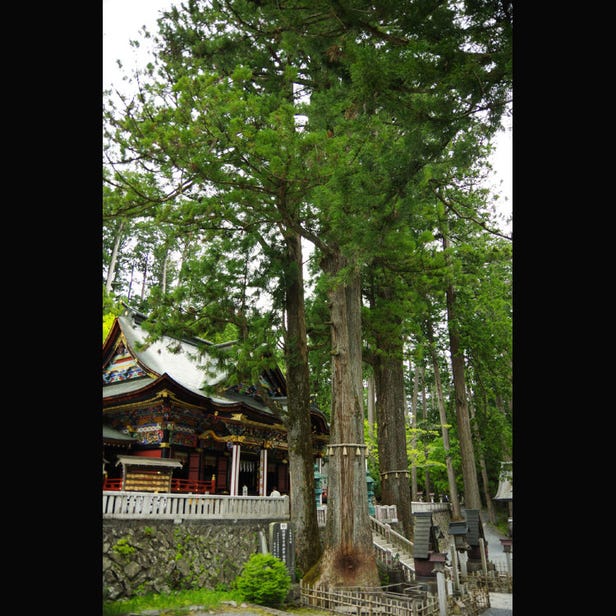 Mitsumine Shrine