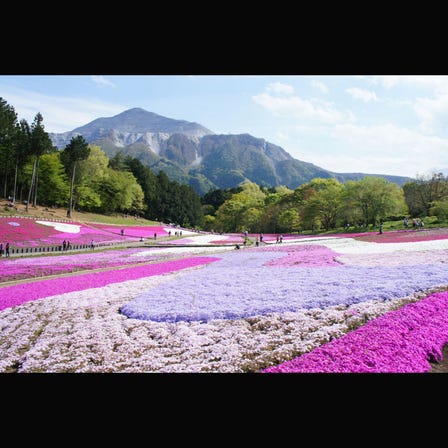 Hitsujiyama Park