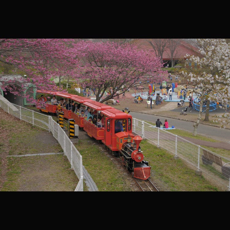 こどもの国 KODOMONOKUNI (Children's Land) | Yokohama,Japan
