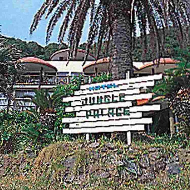 Hotel Jungle Palace