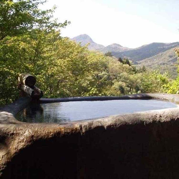 箱根強羅温泉　コージーイン　箱根の山