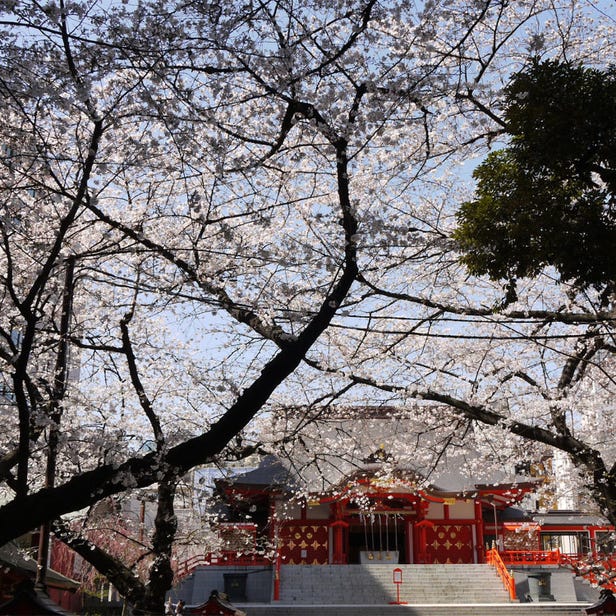 新宿花园神社