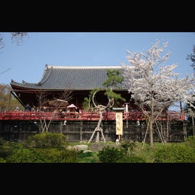 Kiyomizu Kannon-do Temple