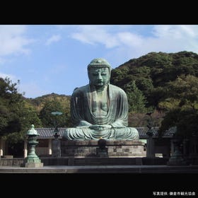 The Great Buddha and Kotoku-in