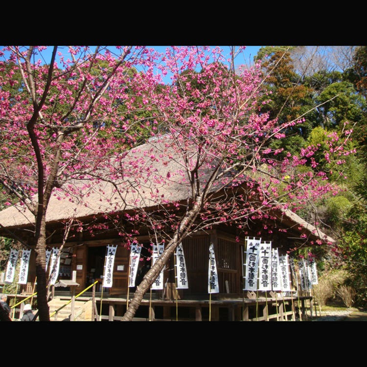 鎌倉杉本寺風景 Ｆ８(１９８９年)／安宅乕雄 (油彩) 鎌倉杉本寺風景 F8(1989年)／安宅乕雄 (油彩) - メルカリ