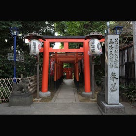 五条天神社 花園稲荷神社