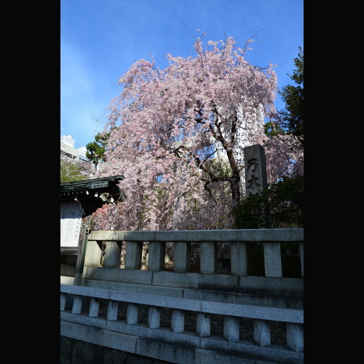 乃木神社 六本木 神社 Live Japan 日本的旅行 旅游 体验向导
