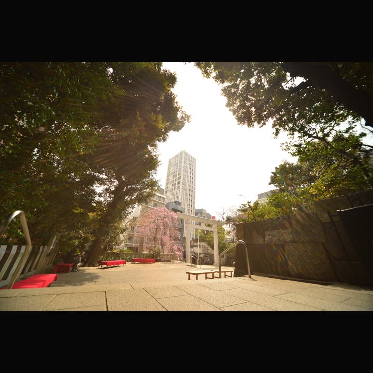 乃木神社 六本木 神社 Live Japan 日本的旅行 旅游 体验向导 乃木神社 六本木 神社 Live Japan 日本的旅行 旅游 体验向导