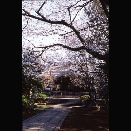 Homyoji Temple