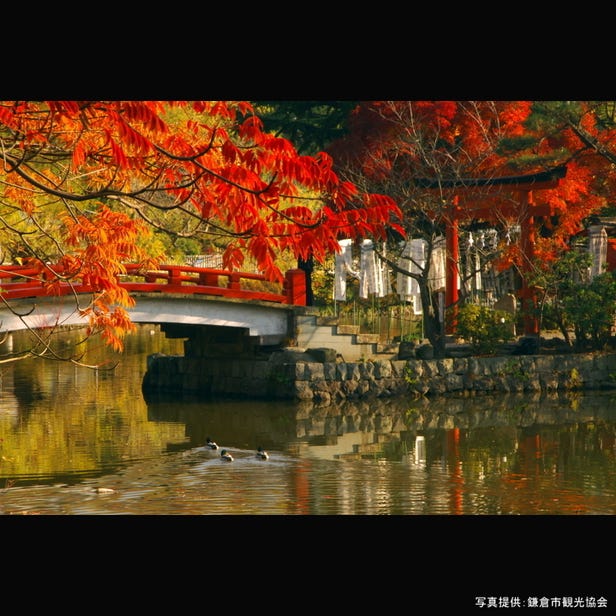 鹤岗八幡宫