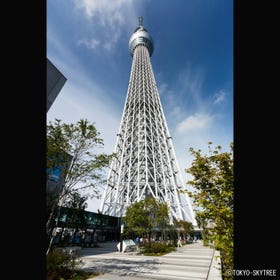 東京晴空塔®