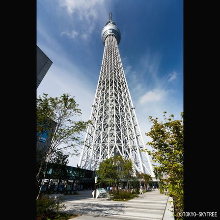 东京晴空塔(R)