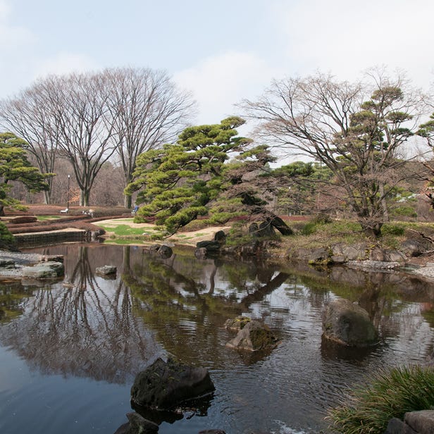 Ninomaru Garden