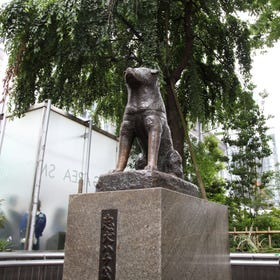 Hachiko Statue