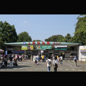 Ueno Zoo (Ueno Zoological Gardens)