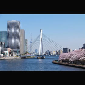 Chuo-Ohashi Bridge