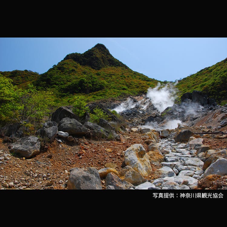 大涌谷 箱根 小田原 森林 山峰 Live Japan 日本的旅行 旅游 体验向导
