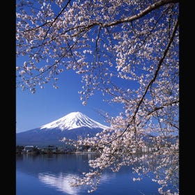 Lake Kawaguchiko