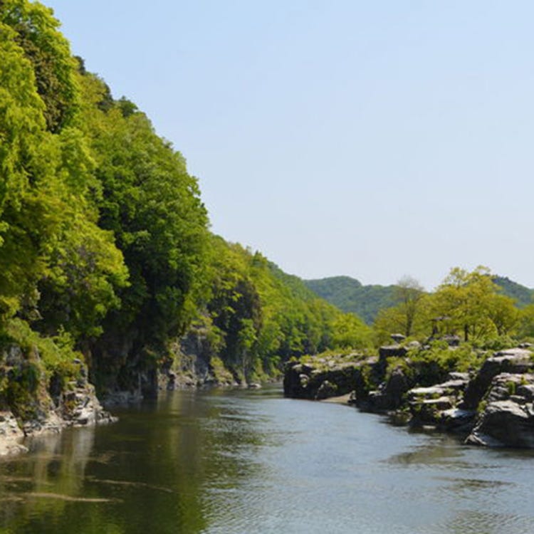 长瀞岩畳 埼玉近郊 其他的自然风光 Live Japan 日本的旅行 旅游 体验向导 长瀞岩畳 埼玉近郊 其他的自然风光 Live Japan 日本的旅行 旅游 体验向导