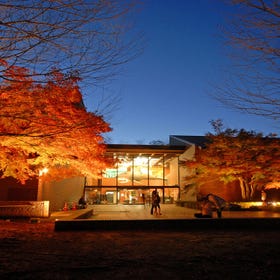 埼玉県立自然の博物館