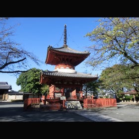 Kawagoedaishi Kitain Temple