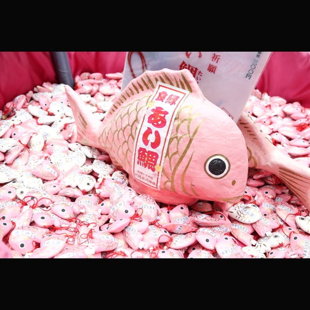 가와고에 히카와 신사 (사이타마 근교|신사) - LIVE JAPAN (일본여행정보사이트) 가와고에 히카와 신사 (사이타마 근교|신사) - Live Japan (일본여행정보사이트)