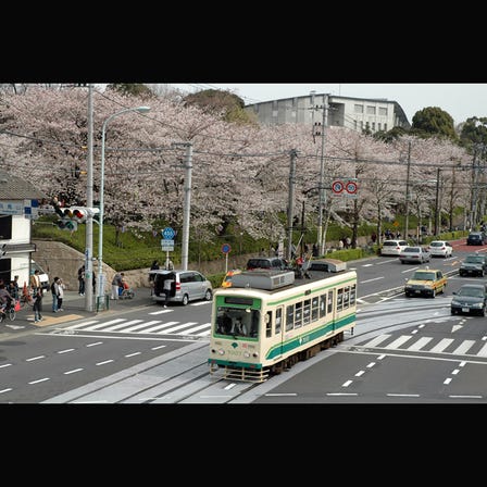 飞鸟山公园