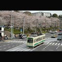 飛鳥山公園