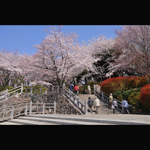 飛鳥山公園