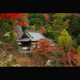 大山寺