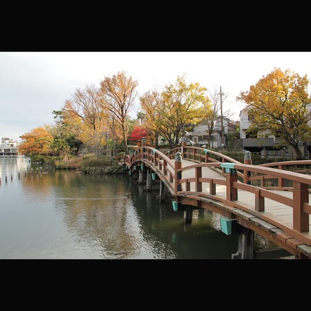센조쿠 연못