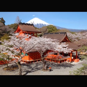 Fujisan Hongu Sengentaisha