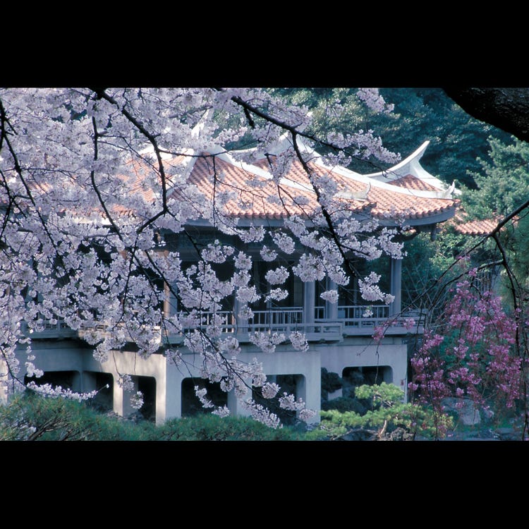新宿御苑 新宿 庭院 Live Japan 日本的旅行 旅游 体验向导