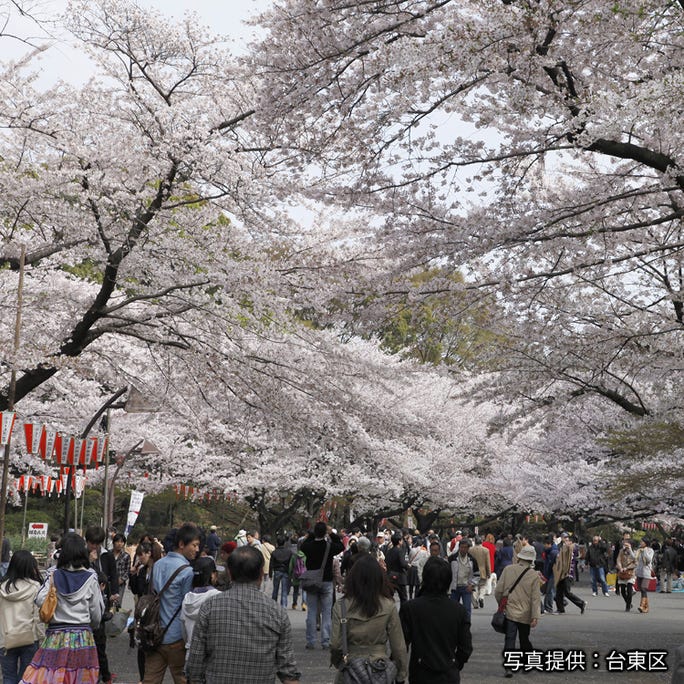 东京 上野公园的四季 春 夏 秋 冬 迷人赏花风情及活动相关信息 Live Japan 日本的旅行 旅游 体验向导