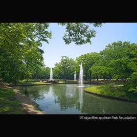 Yoyogi Park