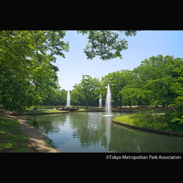 Yoyogi Park