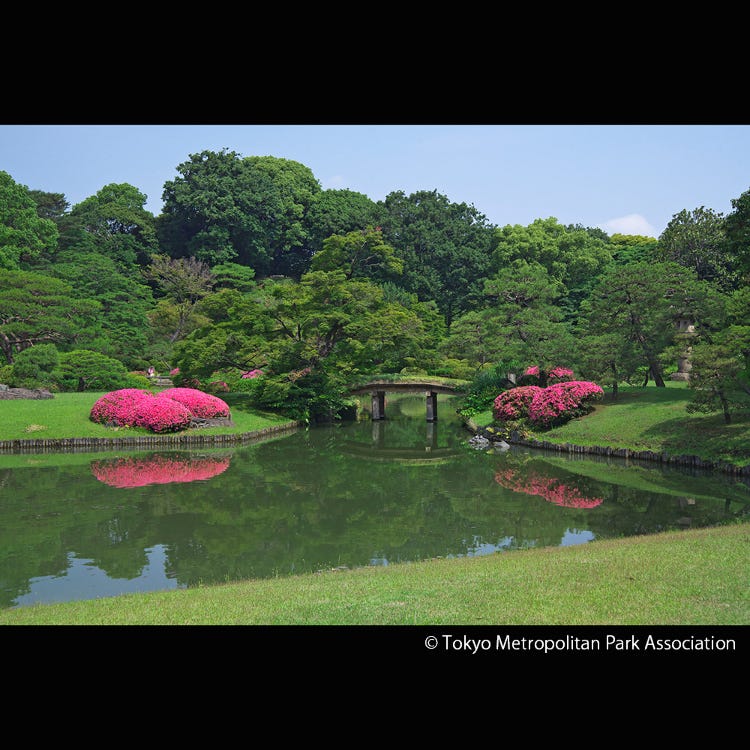 六义园 池袋 庭院 Live Japan 日本的旅行 观光 文化体验导览