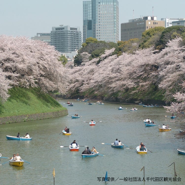 千鳥ヶ淵緑道 神楽坂 城跡 Live Japan 日本の旅行 観光 体験ガイド