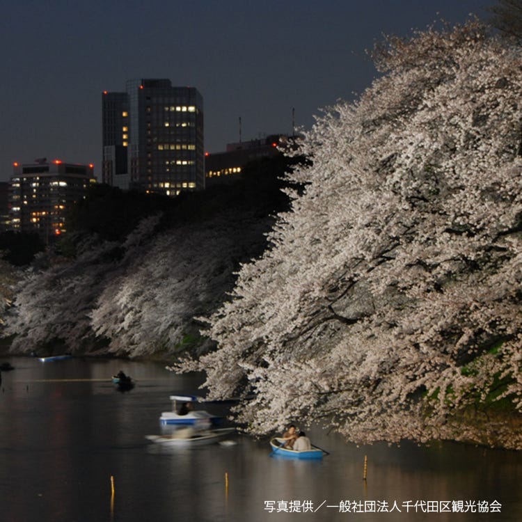 千鳥淵 神樂坂 古城遺址 Live Japan 日本旅遊 文化體驗導覽