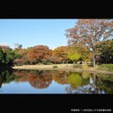 北の丸公園