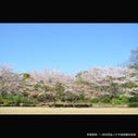 北の丸公園