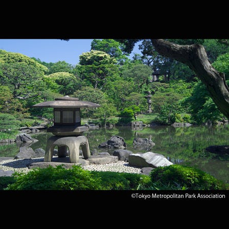 Kyu-Furukawa Gardens