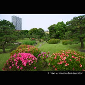 舊芝離宮恩賜庭園