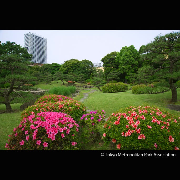 了解日本的闲寂幽雅的5个庭园 Live Japan 日本的旅行 旅游 体验向导