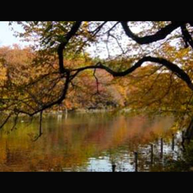 井之頭恩賜公園