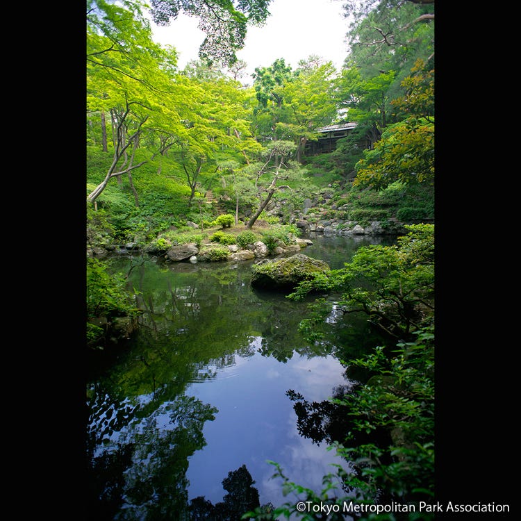 殿谷户庭园 东京郊外 庭院 Live Japan 日本的旅行 旅游 体验向导