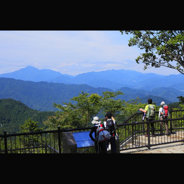 高尾山 高尾山 森林 山峰 Live Japan 日本的旅行 旅游 体验向导