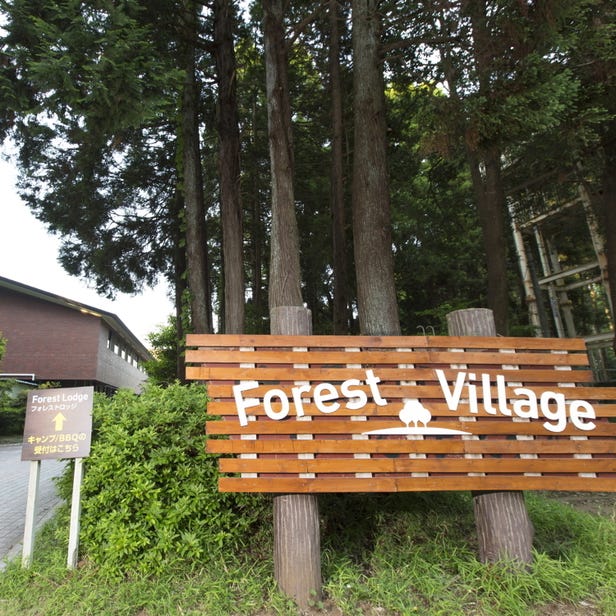 Forest Village