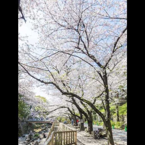 Otonashi Shinsui Park