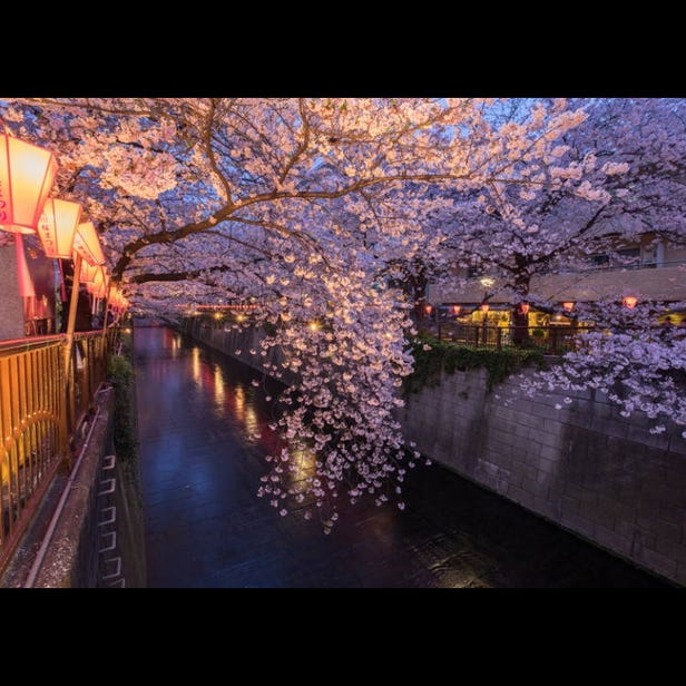 Meguro River